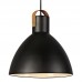 Pakabinamas šviestuvas EAGLE BLACK M